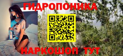 молекула духа Краснознаменск