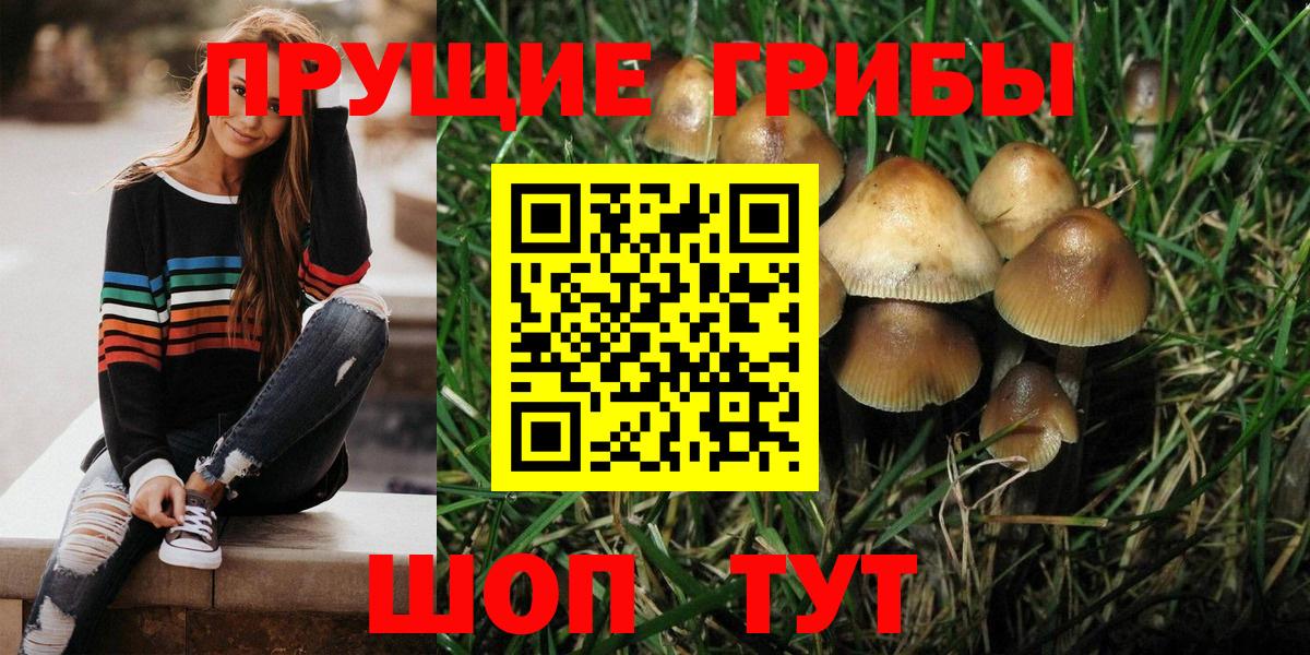 Галлюциногенные грибы Psilocybine cubensis  Псилоцибиновые грибы Magic Shrooms  Вход с VPN  Усть-Илимск 